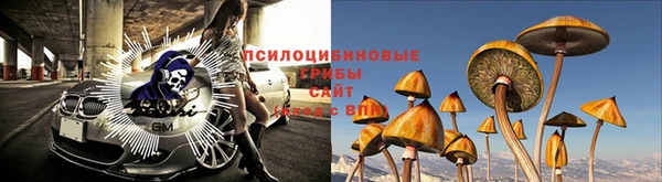 трава Балахна