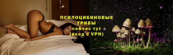 трава Балахна