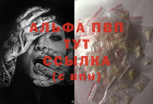 трава Балахна