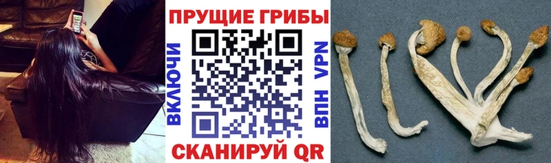 наркотики мориарти Telegram Галлюциногенные грибы GOLDEN TEACHER Рыбинск