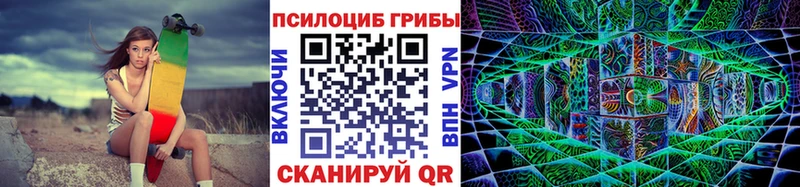 Псилоцибиновые грибы Psilocybe Рыбинск